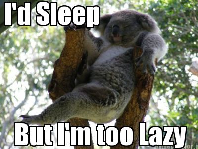 id-sleep-but-im-too-lazy
