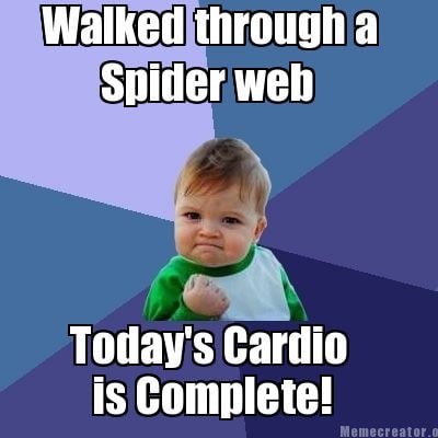 Meme Creator - Funny Walked through a Spider web Today's ...