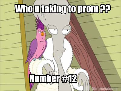 who-u-taking-to-prom-number-12