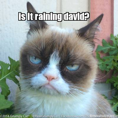 is-it-raining-david8
