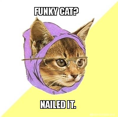 funky-cat-nailed-it