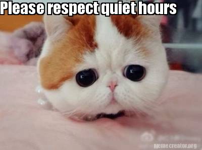 please-respect-quiet-hours