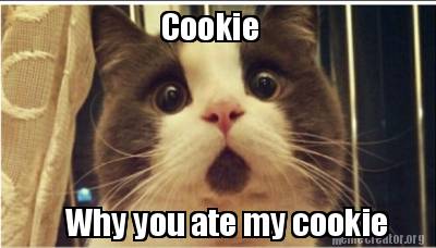 cookie-why-you-ate-my-cookie