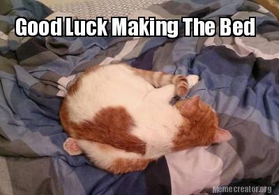 good-luck-making-the-bed