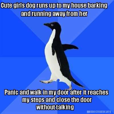 cute-girls-dog-runs-up-to-my-house-barking-and-running-away-from-her-panic-and-w