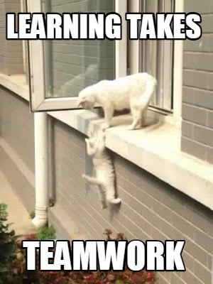 learning-takes-teamwork