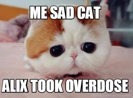 me-sad-cat-alix-took-overdose