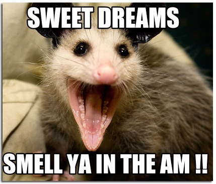 sweet-dreams-smell-ya-in-the-am-