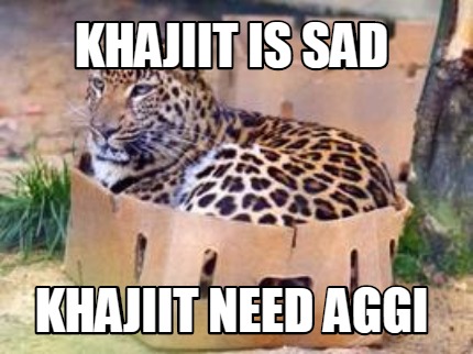 khajiit-is-sad-khajiit-need-aggi
