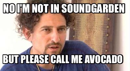 no-im-not-in-soundgarden-but-please-call-me-avocado