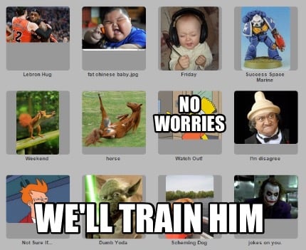 no-worries-well-train-him