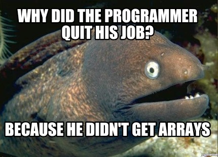 why-did-the-programmer-quit-his-job-because-he-didnt-get-arrays