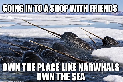 going-in-to-a-shop-with-friends-own-the-place-like-narwhals-own-the-sea