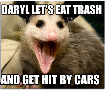 daryl-lets-eat-trash-and-get-hit-by-cars