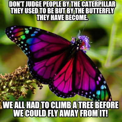 dont-judge-people-by-the-caterpillar-they-used-to-be-but-by-the-butterfly-they-h