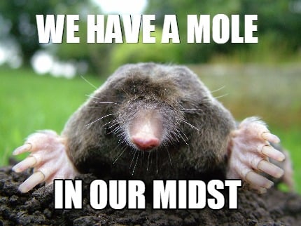 we-have-a-mole-in-our-midst