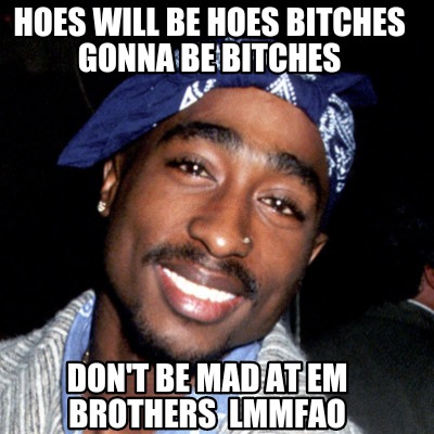 hoes-will-be-hoes-bitches-gonna-be-bitches-dont-be-mad-at-em-brothers-lmmfao