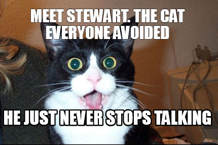 meet-stewart.-the-cat-everyone-avoided-he-just-never-stops-talking