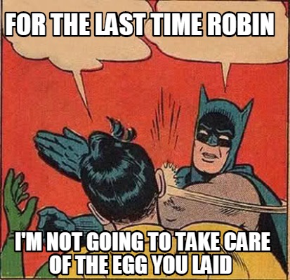 How To Take Care Of A Robin Egg How To Take Care Of A Robin Egg
