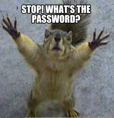 stop-whats-the-password