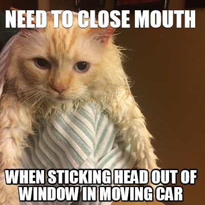 need-to-close-mouth-when-sticking-head-out-of-window-in-moving-car