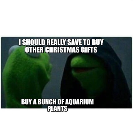meme creator i should really save to buy other christmas meme creator i should really save to buy other christmas