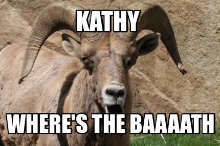 kathy-wheres-the-baaaath5