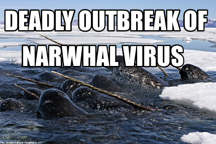 deadly-outbreak-of-narwhal-virus