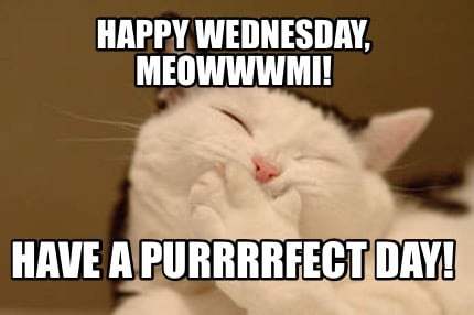happy-wednesday-meowwwmi-have-a-purrrrfect-day