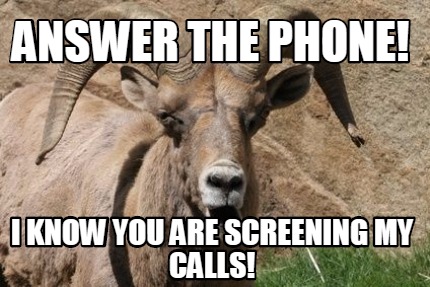 answer-the-phone-i-know-you-are-screening-my-calls