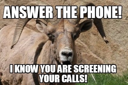 answer-the-phone-i-know-you-are-screening-your-calls