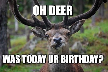 oh-deer-was-today-ur-birthday