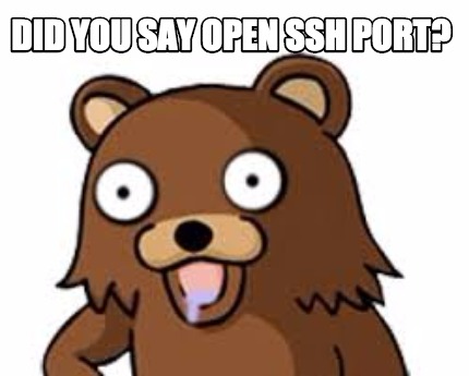 did-you-say-open-ssh-port