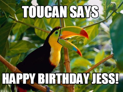 toucan-says-happy-birthday-jess