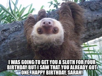 i-was-going-to-get-you-a-sloth-for-your-birthday-but-i-saw-that-you-already-got-