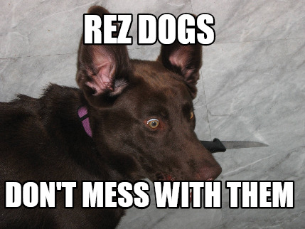 rez-dogs-dont-mess-with-them