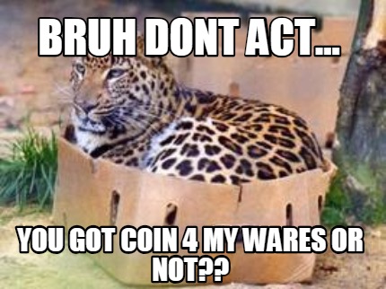 bruh-dont-act...-you-got-coin-4-my-wares-or-not