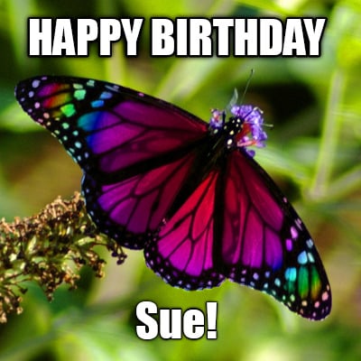 happy-birthday-sue9