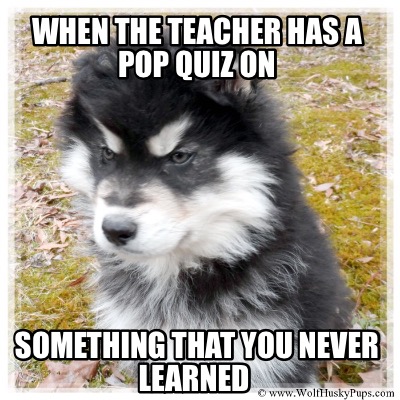when-the-teacher-has-a-pop-quiz-on-something-that-you-never-learned7