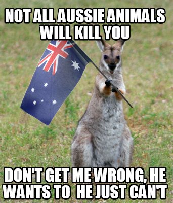 not-all-aussie-animals-will-kill-you-dont-get-me-wrong-he-wants-to-he-just-cant
