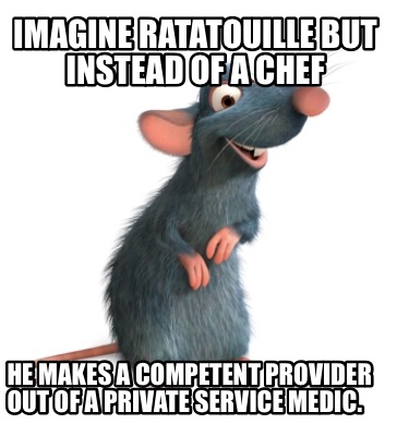 imagine-ratatouille-but-instead-of-a-chef-he-makes-a-competent-provider-out-of-a