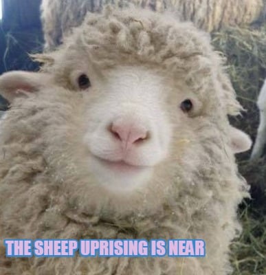 the-sheep-uprising-is-near