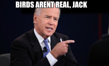 birds-arent-real-jack