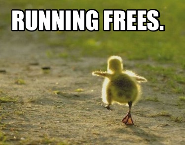 running-frees