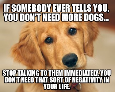 if-somebody-ever-tells-you-you-dont-need-more-dogs...-stop-talking-to-them-immed