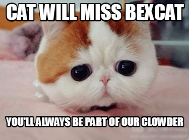cat-will-miss-bexcat-youll-always-be-part-of-our-clowder
