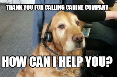 thank-you-for-calling-canine-company-how-can-i-help-you