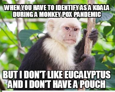 when-you-have-to-identify-as-a-koala-during-a-monkey-pox-pandemic-but-i-dont-lik
