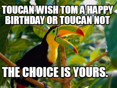 toucan-wish-tom-a-happy-birthday-or-toucan-not-the-choice-is-yours