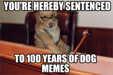 youre-hereby-sentenced-to-100-years-of-dog-memes